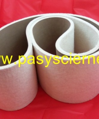 Pas filcowy 120x1600 6mm.